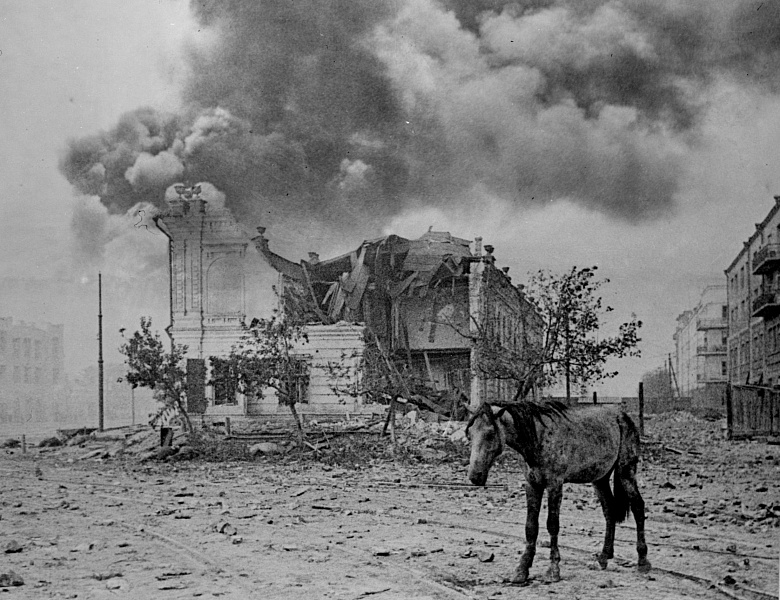 Выставка фотохроники «Военные годы» к 80-летию Победы в Великой Отечественной войне 1941-1945 гг. и Году Защитника Отечества 