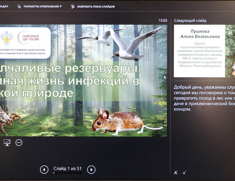 Молчаливые резервуары: тайная жизнь инфекций в природе