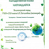 волонтерский отряд