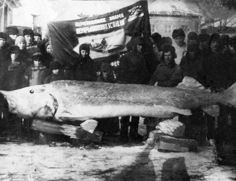 С Днем рожденья, любимый город!
