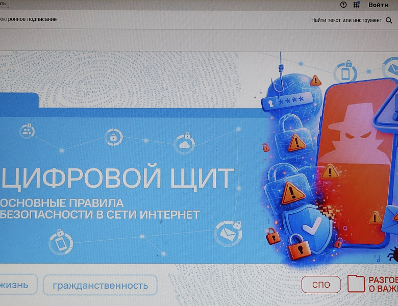 Цифровой щит. Основные правила безопасности в сети Интернет