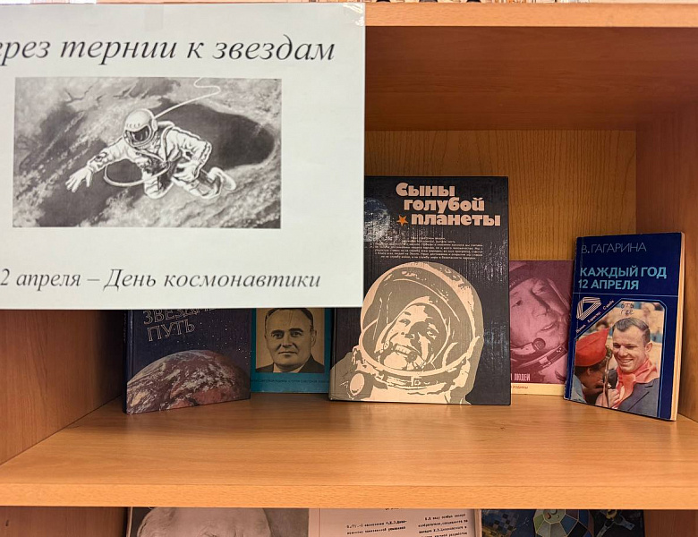 Через тернии к звездам