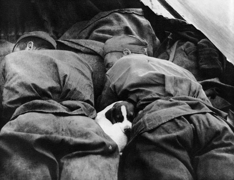 Выставка фотохроники «Военные годы» к 80-летию Победы в Великой Отечественной войне 1941-1945 гг. и Году Защитника Отечества 