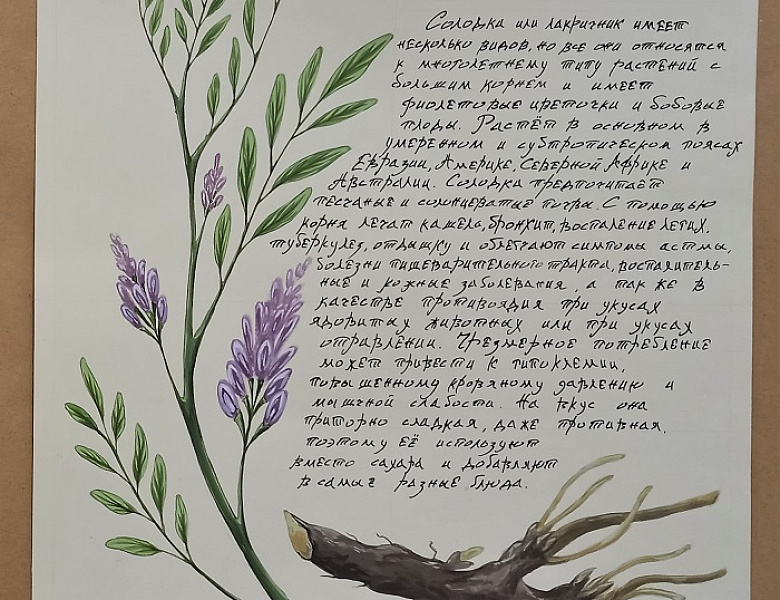 Выставка "Славянские мотивы", посвященная Дню славянской письменности